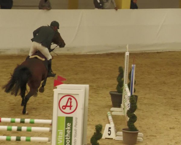 Springturnier Stadl Paura 2023