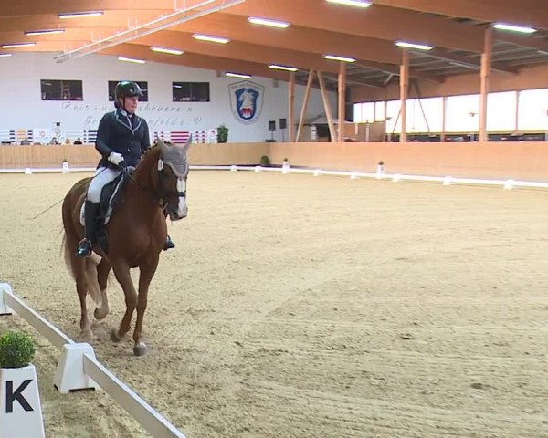 Reitturnier Grafenrheinfeld/Ufr. 2023