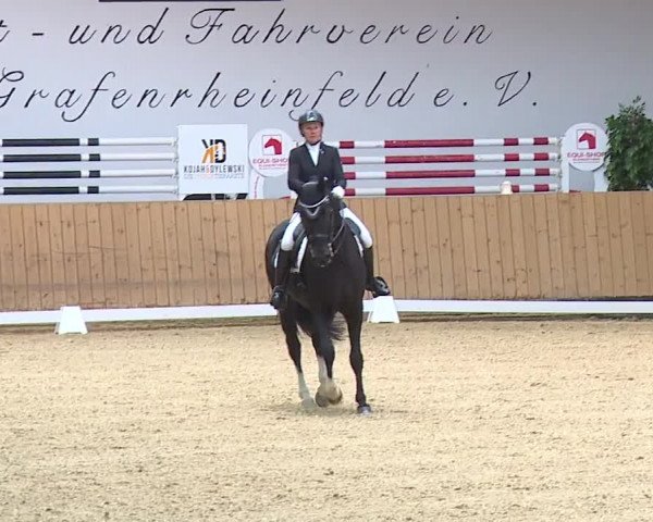 Reitturnier Grafenrheinfeld/Ufr. 2023