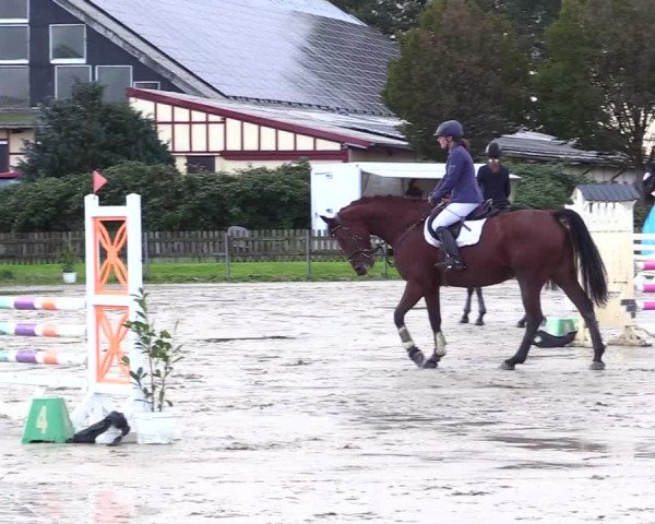 Reitturnier Schülp / Rendsburg 2023