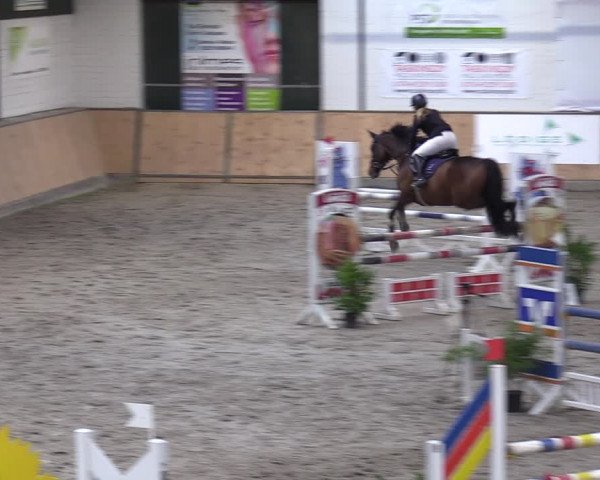 Reitturnier Salzkotten 2023