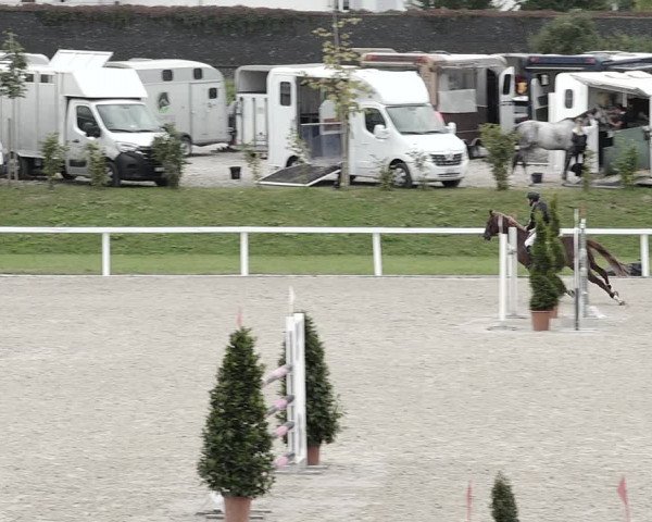 Pferdesporttage Bülach 2021