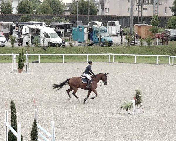Pferdesporttage Bülach 2021