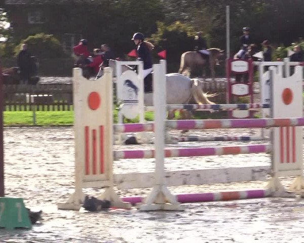Reitturnier Schülp / Rendsburg 2023