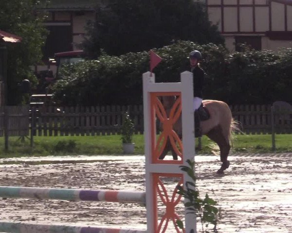 Reitturnier Schülp / Rendsburg 2023
