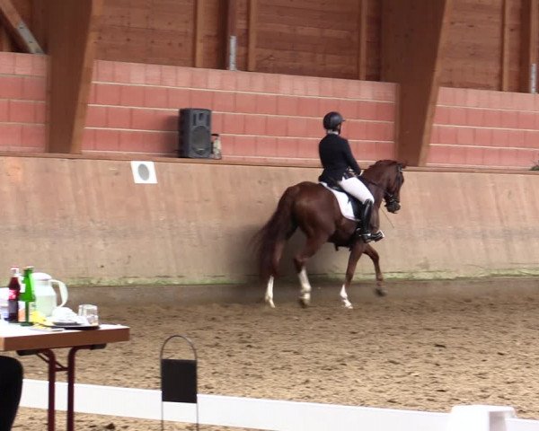 Reitturnier Dortmund-Barop 2021