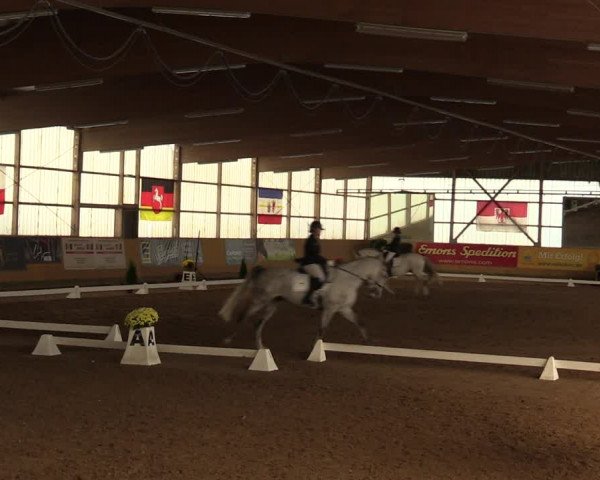 Reitturnier Pausin 2023
