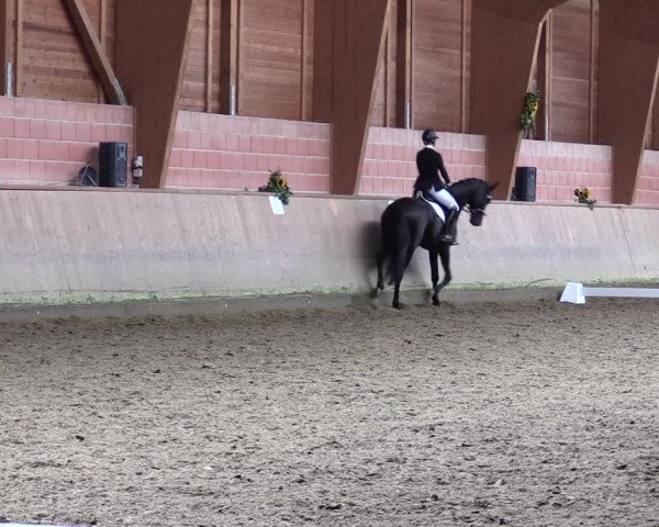Reitturnier Dortmund-Barop 2021