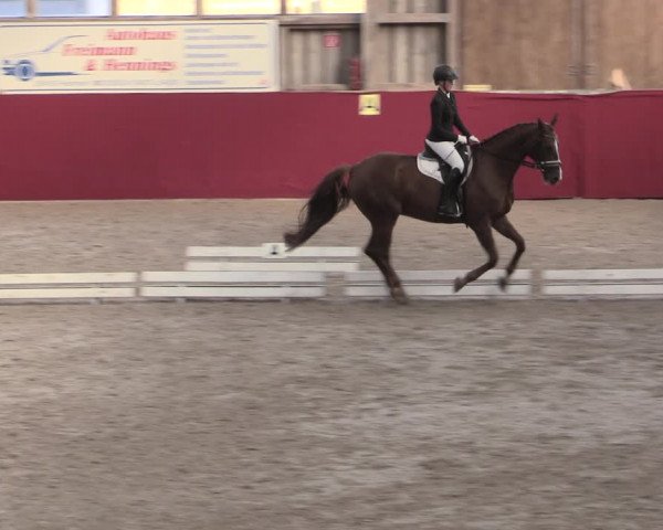 Reitturnier Krumke 2023