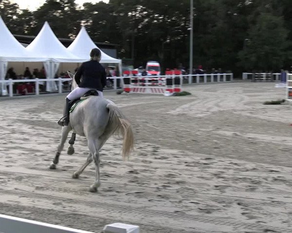 Reitturnier Essen - Herbstturnier 2023
