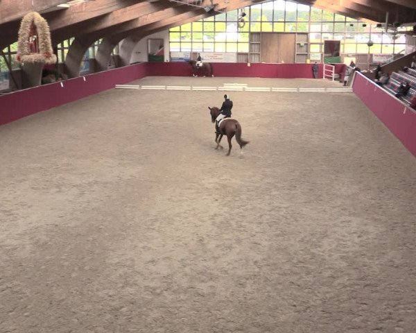 Reitturnier Krumke 2023