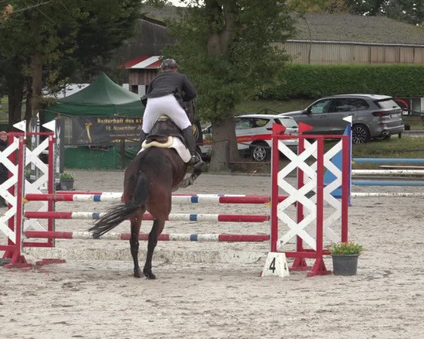 Reitturnier Handorf 2023
