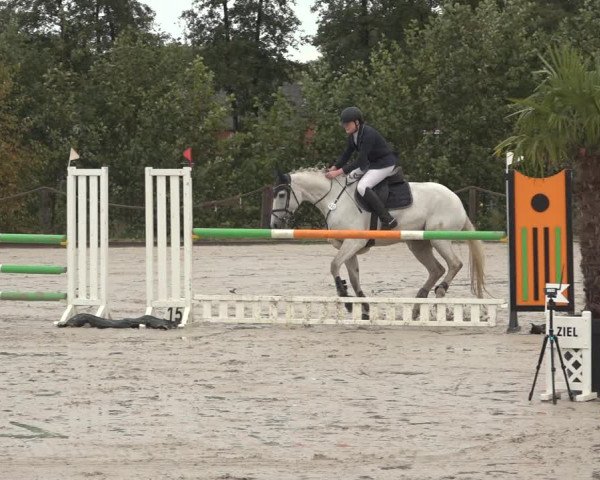 Reitturnier Handorf 2023