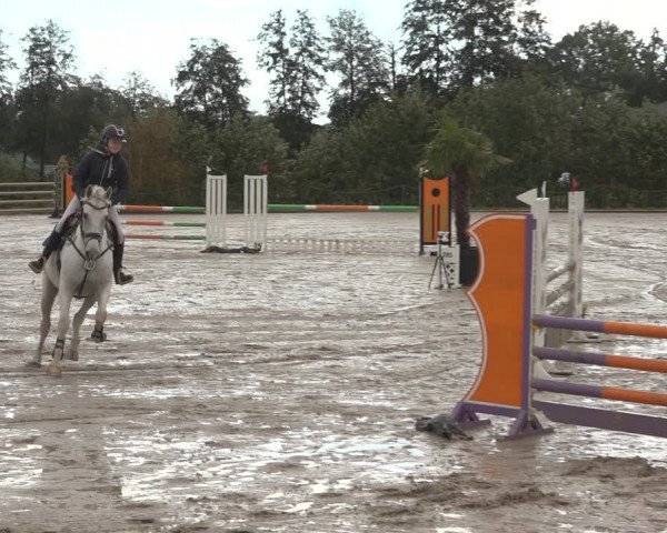 Reitturnier Handorf 2023