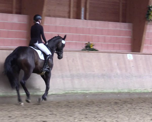 Reitturnier Dortmund-Barop 2021