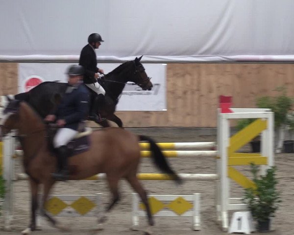 Reitturnier Salzkotten 2023