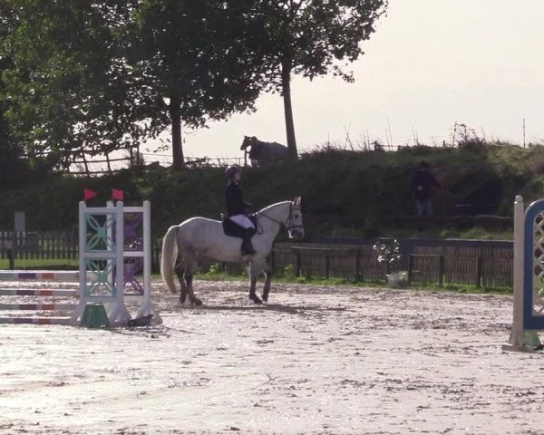 Reitturnier Schülp / Rendsburg 2023