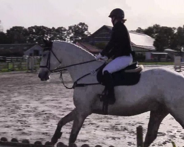 Reitturnier Schülp / Rendsburg 2023