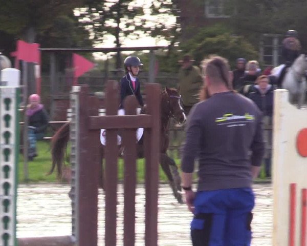 Reitturnier Schülp / Rendsburg 2023