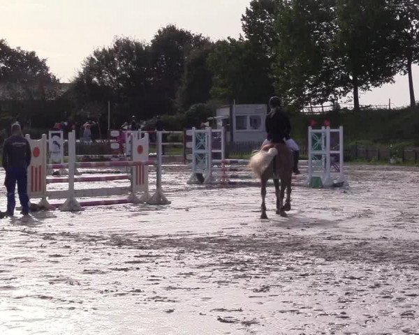 Reitturnier Schülp / Rendsburg 2023