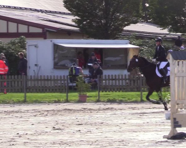 Reitturnier Schülp / Rendsburg 2023