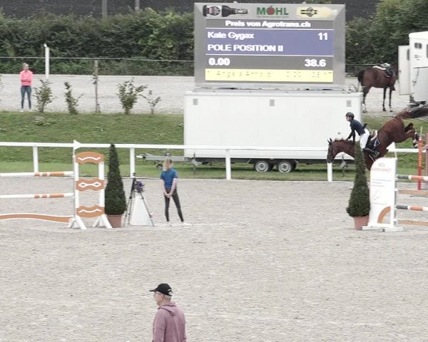 Pferdesporttage Bülach 2021