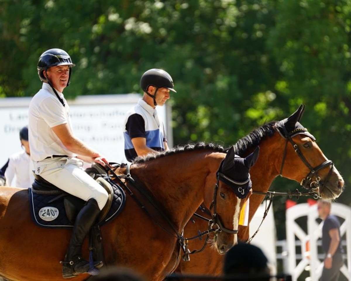 Skokový kůň Cloud 65 (Holštýnský kůň, 2017, od Caracho)