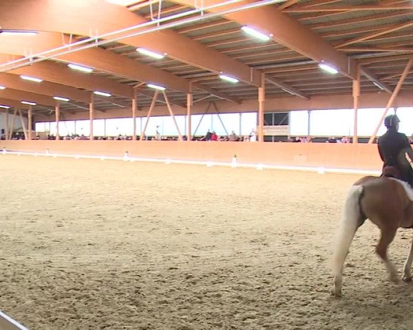 Reitturnier Grafenrheinfeld/Ufr. 2023