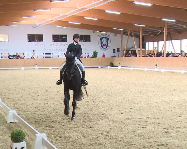 Reitturnier Grafenrheinfeld/Ufr. 2023