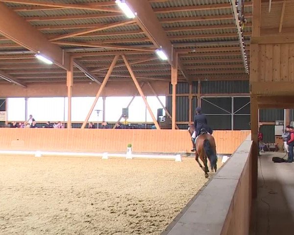 Reitturnier Grafenrheinfeld/Ufr. 2023