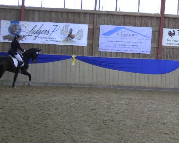 Reitturnier Villmar 2023