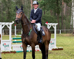 jumper van Aimee (German Sport Horse, 2017, from van Gogh)