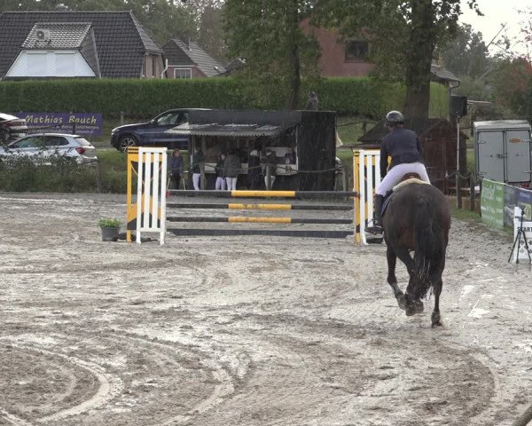 Reitturnier Handorf 2023
