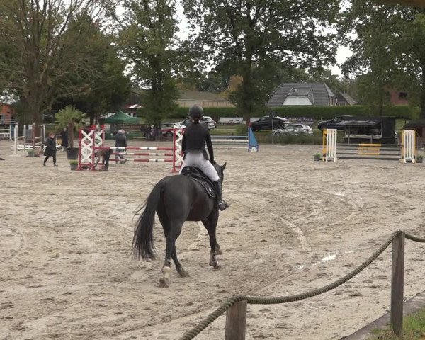 Reitturnier Handorf 2023