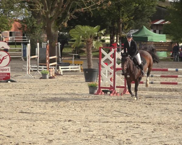 Reitturnier Handorf 2023