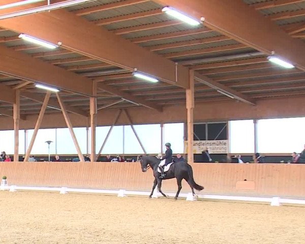 Reitturnier Grafenrheinfeld/Ufr. 2023
