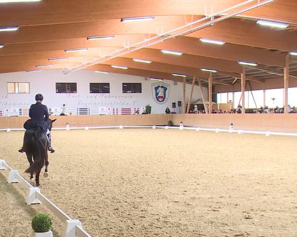 Reitturnier Grafenrheinfeld/Ufr. 2023