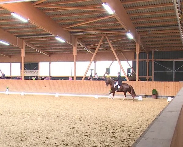 Reitturnier Grafenrheinfeld/Ufr. 2023