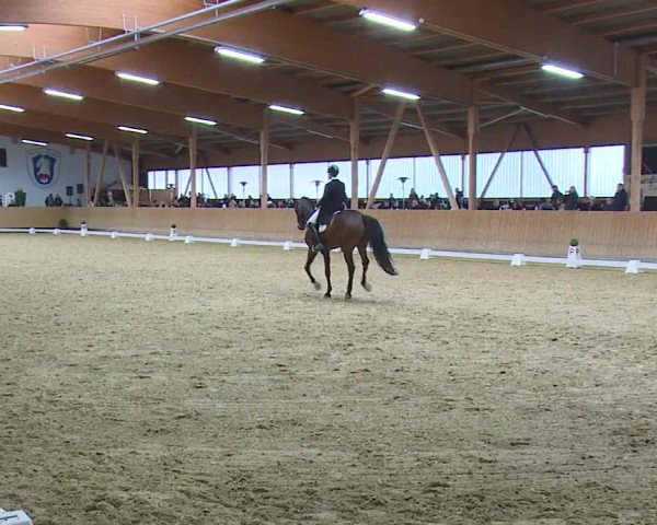 Reitturnier Grafenrheinfeld/Ufr. 2023