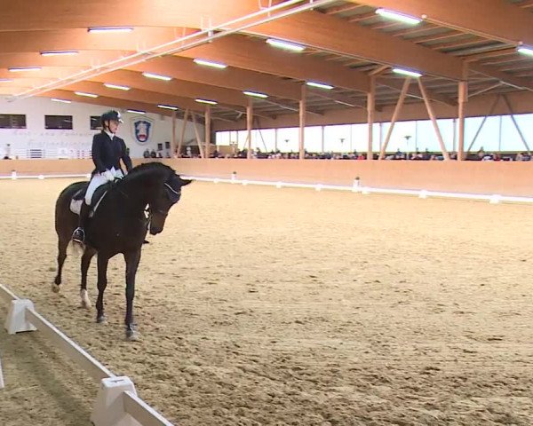 Reitturnier Grafenrheinfeld/Ufr. 2023