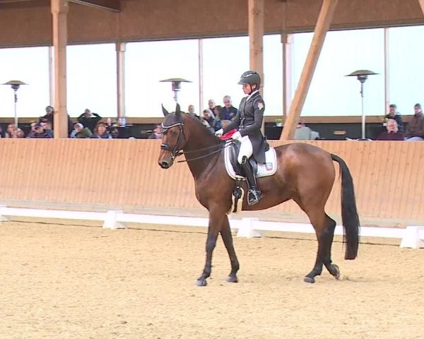 Reitturnier Grafenrheinfeld/Ufr. 2023