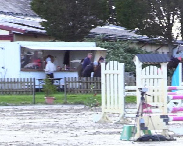 Reitturnier Schülp / Rendsburg 2023