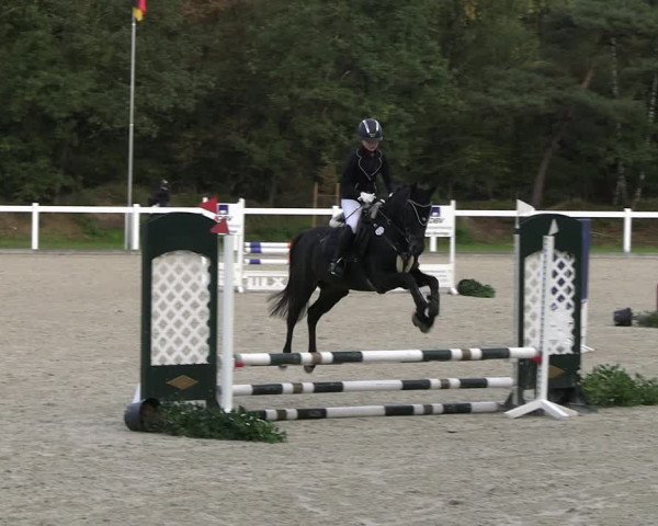 Reitturnier Essen - Herbstturnier 2023