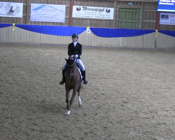 Reitturnier Villmar 2023