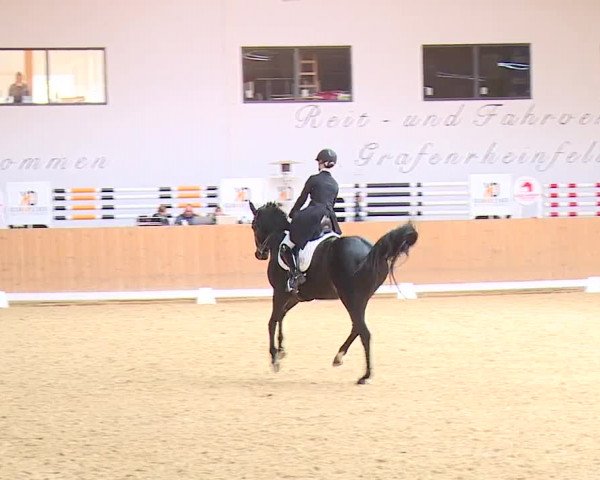 Reitturnier Grafenrheinfeld/Ufr. 2023