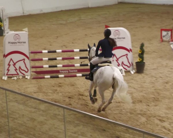 Springturnier Stadl Paura 2023