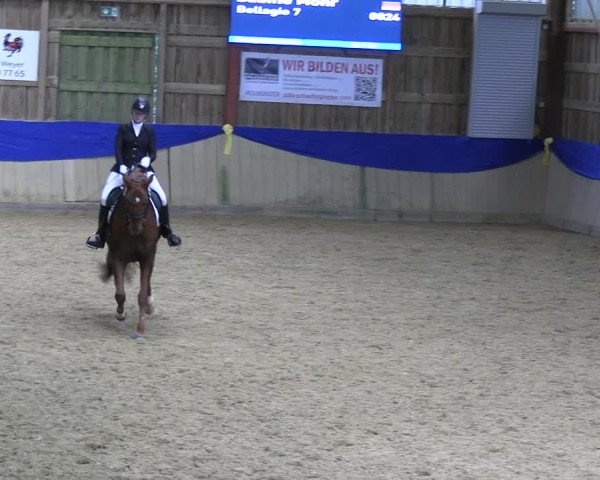 Reitturnier Villmar 2023