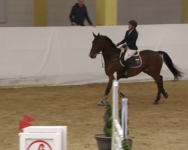 Springturnier Stadl Paura 2023
