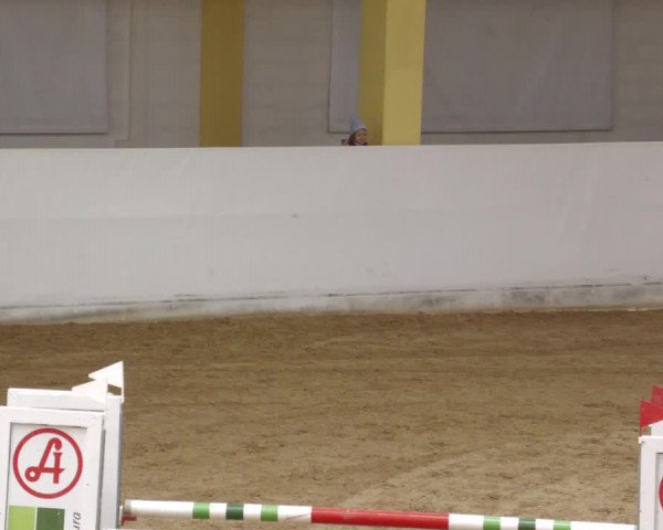 Springturnier Stadl Paura 2023