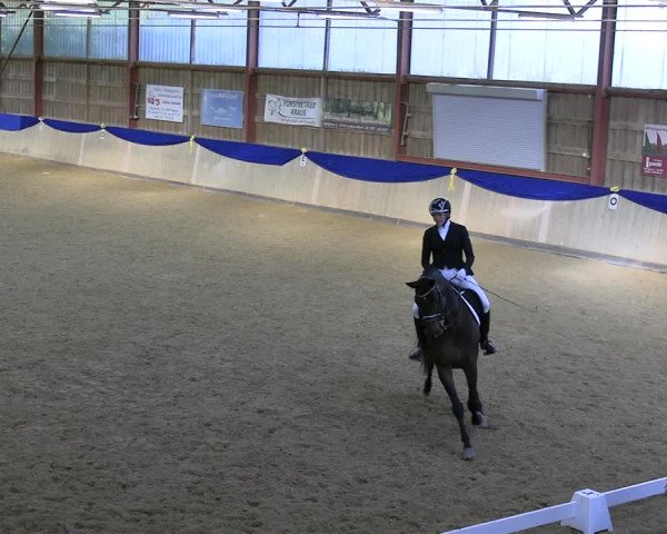 Reitturnier Villmar 2023